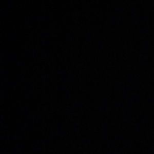 Meet your Posher, Kenzie